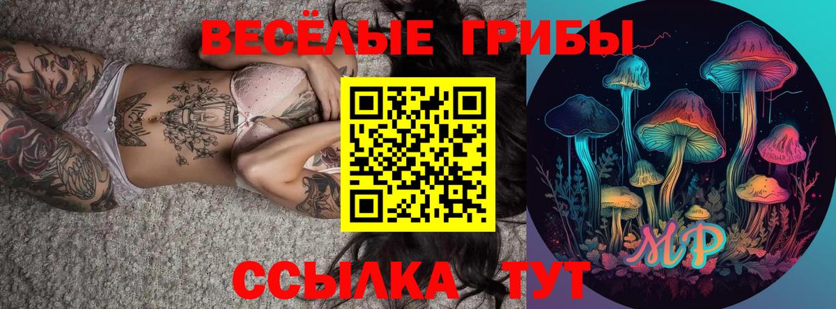 Галлюциногенные грибы GOLDEN TEACHER Унеча