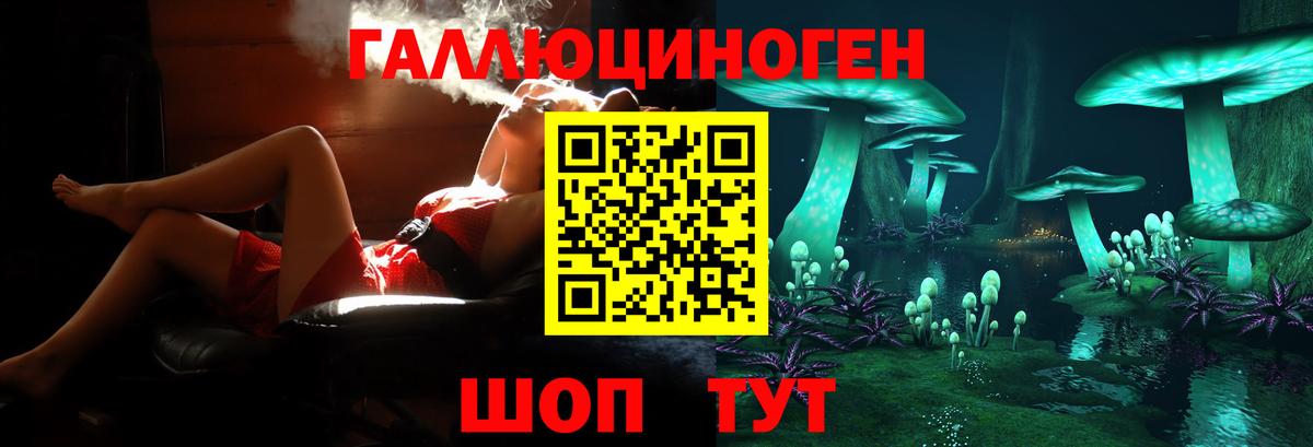 Галлюциногенные грибы прущие грибы  Вход с VPN  Унеча 
