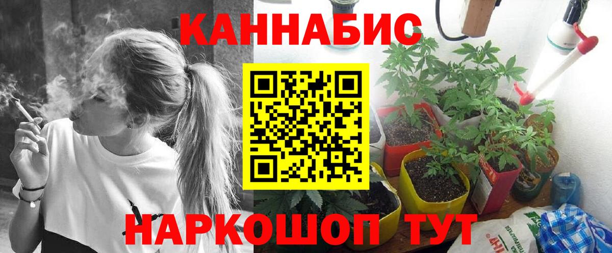 Каннабис план  Каннабис марихуана  МАРИХУАНА White Widow  Унеча  Вход с VPN  МАРИХУАНА марихуана 